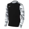 Kids' Nike Dry LS US Park IV GK Jersey