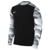 Men's Nike Dry LS US Park IV GK Jersey 1 Men's Nike Dry LS US Park IV GK Jersey -Passion Sports Store f83a5a7d 139f 4419 a56d 7f4e0b912452