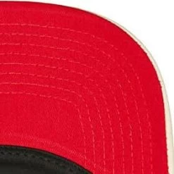 Mitchell & Ness Evergreen Trucker Snapback Coop Boston Red Sox -Passion Sports Store hhss6490 brsyypppofwh 3